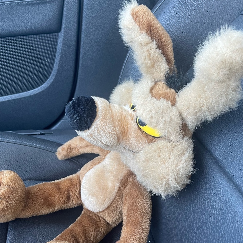 Vintage Wile E Coyote plush 1993 24K Brand Warner Bros. - Picture 3 of 14